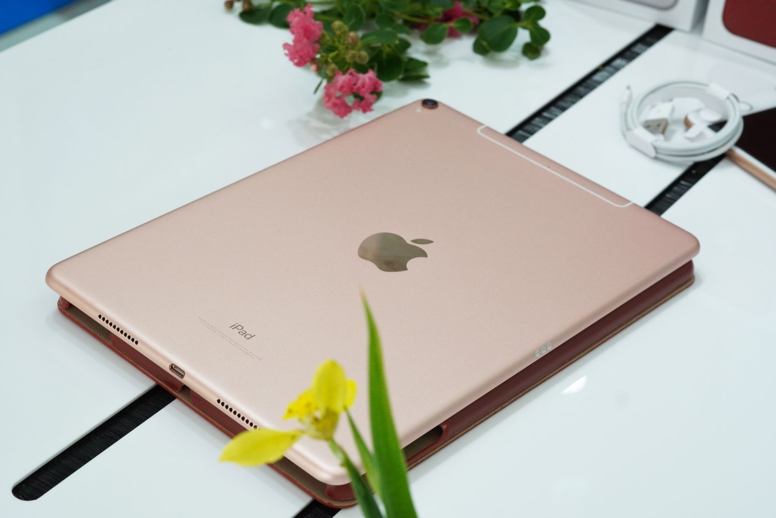 Thiết kế iPad Pro 10.5 cũ